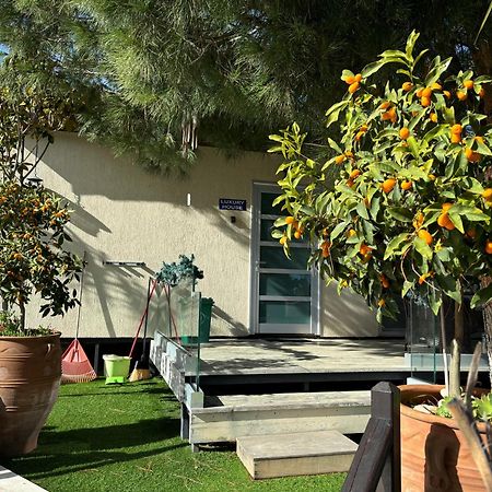 Sofros Valley Hills Chalet Agios Mamas Exterior photo
