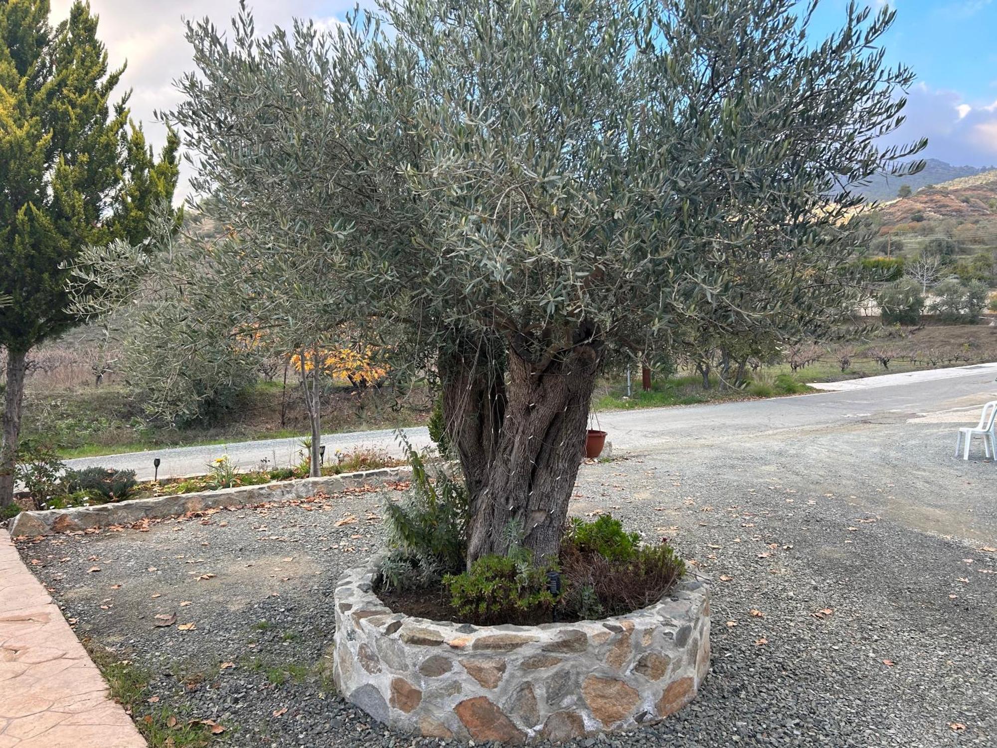 Sofros Valley Hills Chalet Agios Mamas Exterior photo