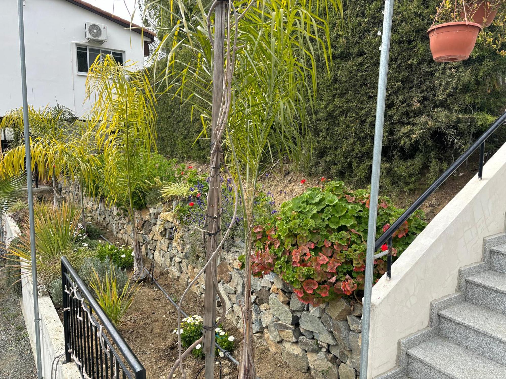 Sofros Valley Hills Chalet Agios Mamas Exterior photo
